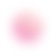 vector